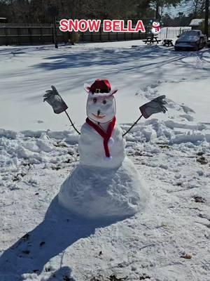 I want to introduce to y'all Snow Bella (SNOWWOMAN)☃️❄️ I LOVE HER☃️❤️☃️ #snowbella☃️  My Daddy LOVED Snowmen and he LOVED when it would SNOW ❄️ so I know this Snow Storm is from him in Heaven. When I opened the door this morning I was mesmerized by all the beautiful snow we got.  I made my first video of the SNOW and there was a Butterfly🦋 that flew by.  I know that was my Mama stopping by to say hey to me. That video means the world to me.🦋  I know Mama and Daddy are both smiling down from Heaven. These are all God's Blessings.🙏 All I wanted was a little bit of SNOW to Build a Snowman because he loves Snowman and would you look at this! ☃️❄️ I got more than I asked for..It's so Beautiful. ❄️☃️ Thank You God🙏☃️❤️🦋 Let it SNOWWWWWW❄️⛄️🌨 #snowday #blingqueen81 #honkytonkbarbie🎀 #countrybarbie🎀  #hotchocolate #ifeellikeakidagain #snowbunny #snow2025❄️⛄️❄️ #snow2025❄️⛄️❄️ #snowday #snowedin #nc1 #nccheckin #signfromheaven  #beautiful #beautifulsnow #lookatgod #winter #viralvideo #trending #snowangel #teamtonyacountrystrong💪 #tiktokfamily4eva #doyouwannabuildasnowman #snowwoman #snowangels 