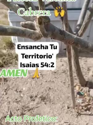 #actoprofetico #ensancha #tutierra #liberacionespiritual #amen #jehovaesmipastor #pastoraveronicacabrera 