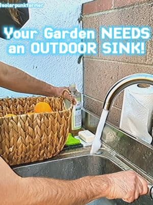 💧🌱SINK TO GARDEN GUIDELINES 👇 . . ⚠️ GENERAL SAFETY: Sink to garden graywater systems are suitable for washing anything that isn't soiled with synthetic/hazardous chemicals, microplastics, or other environmentally persistent or toxic substances.  Unless your area is extremely polluted, typical contaminants found in urban dust are usually not concentrated enough to negatively impact your crops or get translocated into fruiting crops fed by your system. Irrigating leafy crops with graywater is okay in sites with low levels of pollution as long as none gets on the leaves - whereas it should never be used to irrigate root crops, as harmful microbes in the graywater could contaminate the edible portion. . . 👨‍🔧 PLUMBING: 1.5-2" diameter pipe is large enough to handle sink outflow.  Use schedule 40 PVC or another material that is safe for agricultural use, and select lead-free components wherever possible. . . 🌻 GARDEN DESIGN: Follow best practices for a sunken garden bed - including being mindful of nearby structures and designing in an overflow route to discharge excess water from the area in case of flooding. . . 🧼 SOAPS AND SPONGES: *Never* use regular dish or hand soap in a graywater system - only a biodegradable product such as Castile soap.  I recommend using a silicone sponge (shown here) or a biodegradable sponge to prevent microplastics from entering the environment.  When cleaning equipment, use only biodegradable products. . . 💩 URINE AND FECES: Avoid introducing urine and feces into a graywater system whenever possible.  Contamination risk from very small amounts is low if you are only growing fruiting crops, but not non-existent. . . How do you recycle graywater?  Tell me in the comments! 💧🌻 . . . . #gardentok #sustainablegardening #graywater #urbangardening #PlantTok #waterconservation #waterislife #permaculture #Sustainability #solarpunkfarmer #solarpunk 