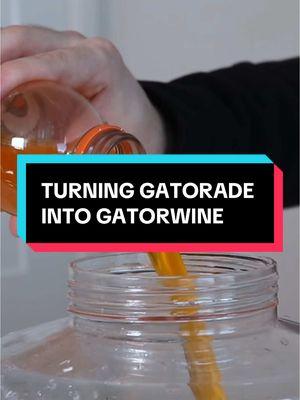 Turning Gatorade into Gatorwine  #mead #gatorade #homebrewing #experiment 