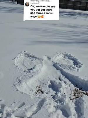 Replying to @paulfl0u812 Snow Angel #snowangelchallenge #snowangelchallenge2025  My Daddy LOVED Snowmen and he LOVED when it would SNOW ❄️ so I know this Snow Storm is from him in Heaven. When I opened the door this morning I was mesmerized by all the beautiful snow we got.  I made my first video of the SNOW and there was a Butterfly🦋 that flew by.  I know that was my Mama stopping by to say hey to me. That video means the world to me.🦋  I know Mama and Daddy are both smiling down from Heaven. These are all God's Blessings.🙏 All I wanted was a little bit of SNOW to Build a Snowman because he loves Snowman and would you look at this! ☃️❄️ I got more than I asked for..It's so Beautiful. ❄️☃️ Thank You God🙏☃️❤️🦋 Let it SNOWWWWWW❄️⛄️🌨 #snowday #blingqueen81 #honkytonkbarbie🎀 #countrybarbie🎀  #hotchocolate #ifeellikeakidagain #snowbunny #snow2025❄️⛄️❄️ #snow2025❄️⛄️❄️ #snowday #snowedin #nc1 #nccheckin #signfromheaven  #beautiful #beautifulsnow #lookatgod #winter #viralvideo #trending #snowangel #teamtonyacountrystrong💪 #tiktokfamily4eva #doyouwannabuildasnowman #snowwoman #snowangels 