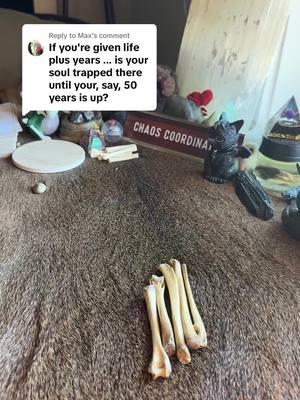 Replying to @Max #witchtok #thatbonelady #witchtoker #witchcraft #witchy #witchesoftiktok #bonereading #witch #bonethrowing #osteomancyreading #bonetoss #osteomancy #divination 