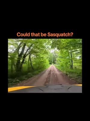 Sasquatch vocalizing #trending2025 #massfowllowing #tiktoktrendingvideo #watchlive #tiktokfinds #LOOK #Love #tiktokcryptids #outdoor ##mythical #realorfake? #massfowllowing 