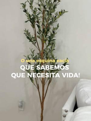 Miren este tesoro que encontré en SHEIN el olive tree perfecto para mi hogar! 🌿✨ 🔍 utiliza mi código de búsqueda: 62HDX para encontrar esto y más en SHEIN😍 Dónde pondrías uno en tu casa? Cuéntenme en los comentarios🤎 🌿Id: 42153527 #sheinappliances  #saveinstyle #loveshein #SHEINhome #SHEIN #SHEINforAll  #homeblogger #homedecor #amadecasa #decohogar #hogarsoñado #floridablogger @SHEIN @SHEINUS 