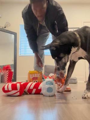 Some Gifts My FurBabies Got From The TikTok Shop🫶🏾 Thank you @Shop BARK #barkbox #pitsky #bassethound #blindbassethound #pets #dogs #shopbark #TikTokShop #mmf #xyzbca #fyp 