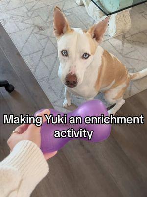 15min of mental enrichment = a 30min walk🐕 Both the treats and enrichment toy are in my Amazon storefront linked in my bio #dogenrichment #dogenrichmentactivities #dogenrichmenttoy #dog #dogsoftiktok #doglover #dogmom #dogowner #pets #enrichmentfordogs  #creatorsearchinsights 