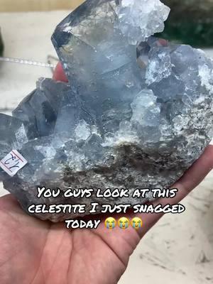 Yallllll that crystal is huge and so good. Favorite find so far. Other finds for this weeks pop up include selected petrified wood spheres and a couple slabs, small garnets from Mali, 2x awesome and special tentadora mine chrysacola and quartz, and more selected specimens! Well let ya know when our table sale is set :) #celestite #tucsongemshow  