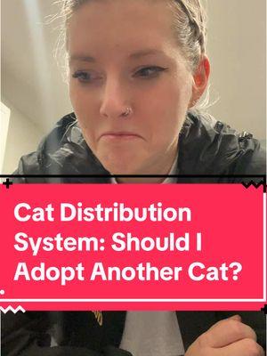 Should I do it, yes or no? Also, my local PetSmart is partnered with a shelter, so I would be adopting, not shopping! #catdistributionsystem #catdistributionsystemoftiktok #adoptdontshop🐾 