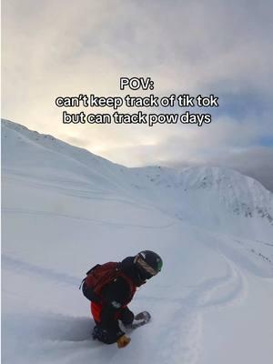 Welcome to our life… when you find out what social platforms are sticking around for the next 14 hours, let us know. Until then, find us scoring @Alyeska fresh snow… ❄️❄️❄️👀 🎥: Jan 21 #ikonpass #tiktok #fyp #powderday #powday #snowboard #alyeska #alaska #mountains #pov #gopro 