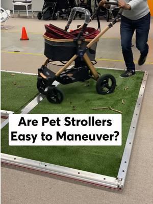 We tested five popular pet strollers to help you find the "purrfect" model for your furry family members. See the best pet strollers for dogs and cats through the link in our bio. #PetsOfTikTok #dogstroller #catstroller 