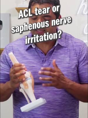 ACL tear or saphenous nerve tear? Which one is it? #acl #acltear #aclinjury #saphenousnerve #kneepain #physicaltherapy