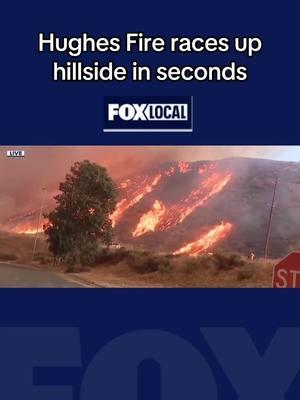 FOX 11’s @ReporterMatthew reports from the front line of the Hughes Fire. From his vantage point along Lake Hughes Road, flames were racing up the hillside, engulfing trees and power poles. #hughesfire #castaic #fire #lafires #cafires #breakingnews 