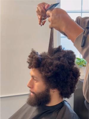 Curly hair journey almost 2 years later without even a trim➰ #curly#curlyhairtutorial#menshair#blackhair#blackmenhairstyles 