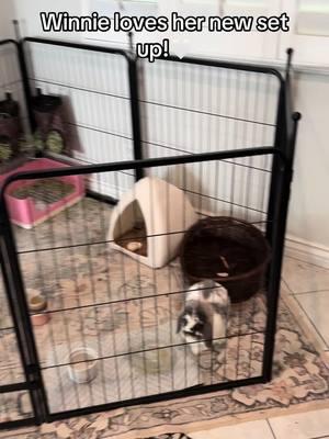 Perfect for dogs, bunnies, chickens you name it! So many ways to use this product #bunnysetup #dogpen #dogcage #playpen #bunnypen 