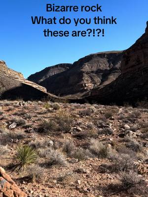 What do you think these are/were? #rocks #desertexploring #southwestexplorers #strangethings #exploring #getoutside 