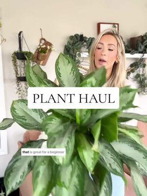 Plant haul! 💚  Which is your favorite? Any new plants in your collection? #plants #houseplants #indoorplants #plantblogger #plantlover #fyp #foryoupage #houseplantclub #midwestblogger #houseplantcommunity #greenthumbclub #lifestyleblogger #foryourpage #indoorjungle #planthaul 