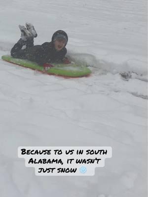 #snow #snowing #alabamasnow #snowstorm #snowman #alabama #snowinthesouth #onceinalifetime #recordbreaking #recordsnow #son #family #noschool #dogsoftiktok #snowday #dauchshundsoftiktok #dachshundthings 