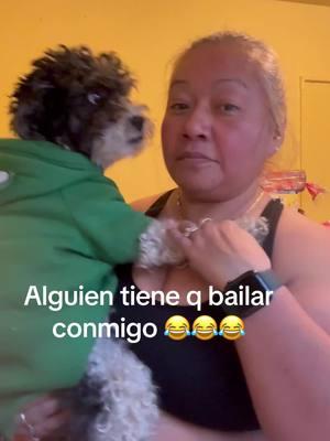 #dogsoftiktok #doglovers #fyp #eyaesfelizbailando #minietahermosa #riansepues😂😂 