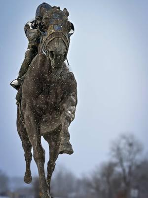 1973 Triple Crown Winner #secretariat #thoroughbredsoftiktok #championracehorse 