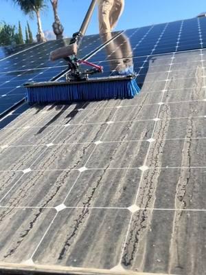 Satisfying Cleaning Solar Panels ☀️ #solarpanel #solarpower #solar #cleaning #clean #CleanTok #satisfying #oddlysatisfying #fyp 