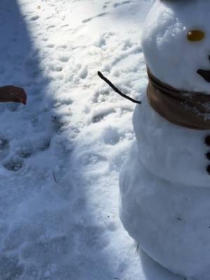 My miracle boy enjoying the snow. #asd #26weeker #trachbaby #nicugrad #nuerospicy #snowman #snow2025