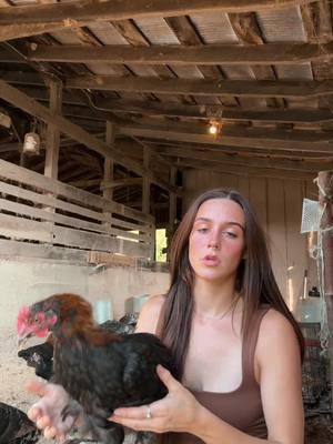 I miss nice weather & my SETH🥲🫶🏽 #farmlife #MomsofTikTok #draft #chickens #turkeys #fyp 