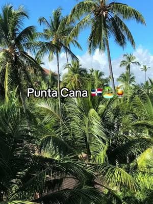 Us on a random Tuesday #puntacana #puntacanavacation #puntacanaresort #puntacanaresorts #dominicana #dominicanrepublic #dominicana🇩🇴 #dr #dominicanrepubliccheck #travel #traveltiktok #traveltok #travellife #travelbucketlist 