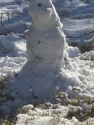 #snow #MomsofTikTok #happerthanever #happy two of my boys one made a snowman one made a chair throne