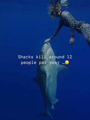 Unrecorded numbers are upwards of 250,000 million sharks are killed per year 🥺 Follow for more #shark education 🦈💙 #sharks #savesharks #sharktours #hawaii #a 