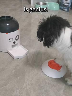 This dog feeder toy is so genius!#dogtoy #smartdog #potaroma #dogfeeder #puzzle #doglover #dogowner #dogsoftiktok 