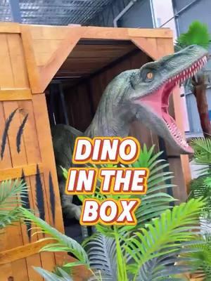 Would you be afraid if a dinosaur suddenly rushed out of the box? #dinosaur #dinosaurio #dinosaurier #dinopark #dinosaurfactory #dinosaurmanufacturer #dinosaurproduct #animatronicproduct #animatronicdinosaur #animatronicfactory 