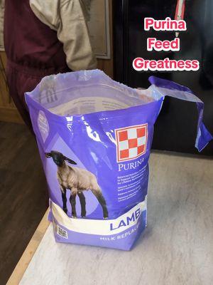 Raising healthy, energetic lambs starts with the right nutrition, and I’ve found my go-to solution with Purina Animal Nutrition! 🐑 Their Lamb Milk Replacer is easy to mix and provides all the essential nutrients my lambs need to thrive. In this video, I’ll show you my quick and easy recipe for mixing it. This product is perfect for busy farmers who want to give their lambs the best start. 🌟 Trust Purina to support your flock, just like I do! @purinafeedgreatness #ad #PurinaFed #FeedGreatness #purinafeedgreatness #purinalambmilkreplacer #hobbyfarmer #homesteader #purinamills  #howtobottlefeedlamb #lambmilkreplacer #bottlelamb #sheep #sheepfarm #sheepfarmer #lambs #babysheep #babylamb #newbornlamb #lambnutrition 