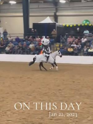 #onthisday I had my first viral video. I’m still a Dumb A* when it comes to stupid ideas but hey, I’m still alive and having fun 😂 #dumbassbroke #horsesoftiktok #equestrian #horsetok #fyp #dumb 