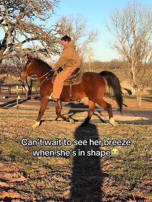 #fyp #westernhorses #westernhorsesoftiktok #horsesoftiktok #horses #trending #lovemyhubby😘😘😘 #blowthisup #arabian #offthetrack #retiredracehorse 