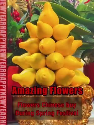 What is that??? 🍊🌶️SERIOUSLY these are auspicious flowers for the Spring Festival in HK #fyp #neverseenbefore#chinatravel #springfestival #xiaohongshu #hongkong #flowers #travel #shopping #春節 #非遺中國年 #what #lol