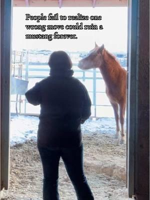 Trying to train a mustang at a boarding facility is so hard like stop jump scaring me 😭 all jokes ofc I don’t mind. #CapCut #horsee #reininghorse #mustang #wildmustang #blmmustang #rezpony #rezponytocowpony #horsetraining #barrelracing #mare #redmare #redmustangmare #mustanghorse 