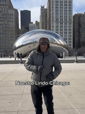 Yo lo que vine fue a esto! Esta canción la tenemos en la cabeza día y noche 🤭 #chicagotiktok #chicagoespañol #latinosenchicago #mexicanosenchicago #winterinchicago #lanochequechicagosemurio #lanochequemuriochicago 