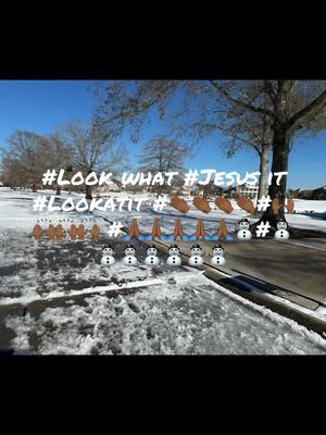 #lookwhatjesusdid #lookatit #Jesus #godisgood #godissoamazing #Godit #jesusdidit #whitesnow #downsouthsnowday2025 #itsasnowday #southernsnow #winterwonderland #itssnowing #letitsnow #letitsnow❄️ #letitsnowletitsnow #ElRoi 