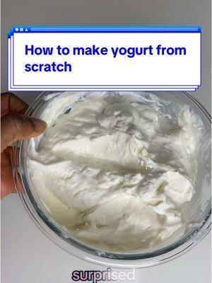 How to make yogurt from scratch. How to make lactose free yogurt. How to make Greek yogurt  . . . #lactosefreeyogurt #howtomakeyogurt #homemadeyogurt #yogurtfromscratch #greekyogurt #greekyogurtrecipes #fermenttok #yogurtrecipe #homemadegreekyogurt 