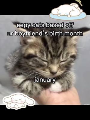 which eepy cat are you? 💤🛌😽 #onthisday #bf #gf #girlfriend #boyfriend #Relationship #relationshipgoals #relatable #couple #cat #kitty #kitten #meow #catcouple #catlover #catmeme #ilovemybf #ilovemygf #eepycat #sleepycat #sleeping