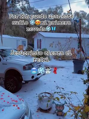 #nieve ❄️☃️🧣🥶#usa🇺🇸tiktok #estafrio #🦋Šúçy #holissssssss😚✌️ 