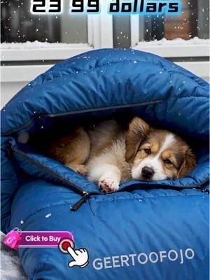 It’s snowing, so get a sleeping bag for your dog!#sleepingbag #Outdoors #dogsleeping #TikTokShop 