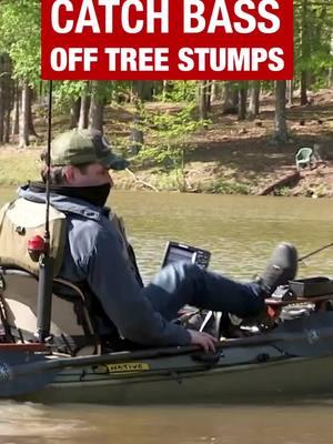 Tree stumps provide excellent ambush points for bass to catch prey. Stumps attract smaller fish, crustaceans &insects, making them ideal feeding grounds. Weightless and weedless soft plastics work well here. Featuring Mike deAvila and Ollie Hughes.#bassfishing #bassfishingtips ##fishing #fishingtips #lunkerville #fishingtok