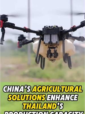 China's #Agricultural Solutions Enhance #Thailand's #Production Capacity#fyp #fypシ #china #chinatiktok #likechina #tech #drone #AI #agriculture #southeastasiafood 