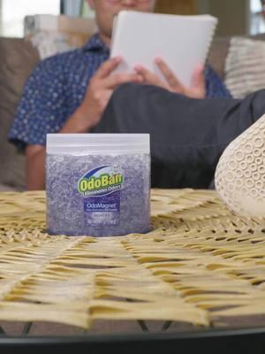 Have you tried them? 🤩 Freshen your fave spaces with OdoBan® OdoMagnet®s! Gel crystals continuously trap airborne odors for up to 60 days. 👉 Available at @homedepot in 4 fresh scents. #airfreshener #odoreliminator #odorremover #litterbox #bathroom #closet #cleaninghacks #cleaning #cleaningproducts #cleaningmotivation #cleaningtips #odoban #makelifefresh