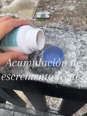 Acumulación de escremento #15diasdelimpieza #15dayscleanse #15days #milamiamor15daycleanse #milamiamor #estreñimiento #inflamacion #limpieza #2x1 #oferta @MilaMiAmor 