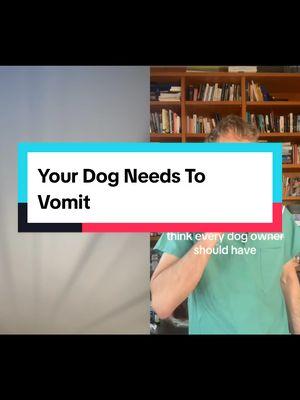 #duet with @Andrew Jones, DVM #firstaid #dog #owner #vomit #vet #tips #emergency #hydrogen #peroxide