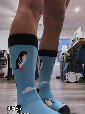 Penguins because theyre cool creatures #fy #fypシ #fyp #fypシ゚viral #penguins #socks #sebastianstanyartra #taconesrojos #DailyRoutine #sockfettishfashion #iowa #chicago #texas #california #michigan #chiefs #arizona #newmexico 