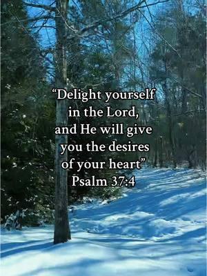 #Psalm37 #GodLovesYou #ChildOfGod #CloserToGod #Christian #ChristianTikTok #JesusLovesYou #Blessed 