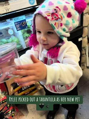 New pet #tarantula #toddlertok #toddlersoftiktok #tarantulasoftiktok #exoticpets #furryfriend #girlmom #rebelgirl #feraltoddler #wildone #wildchild 